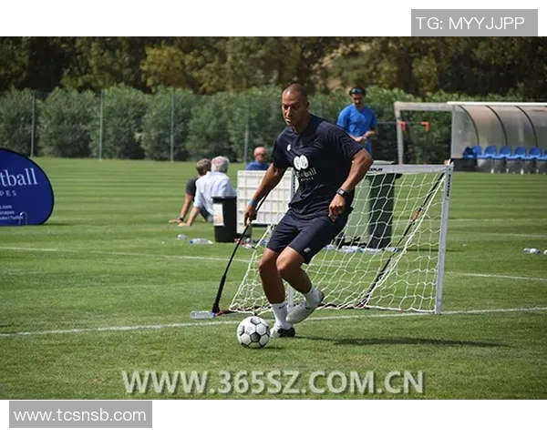 足球球星树熊：从坚韧不拔到绿茵场上的独特魅力解析